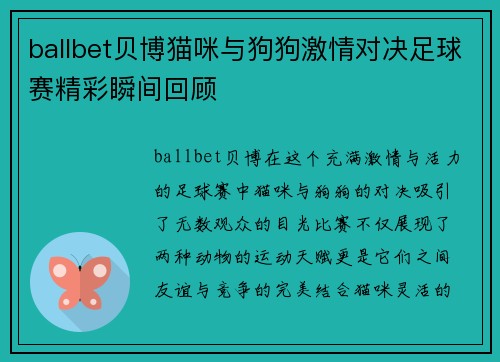 ballbet贝博猫咪与狗狗激情对决足球赛精彩瞬间回顾